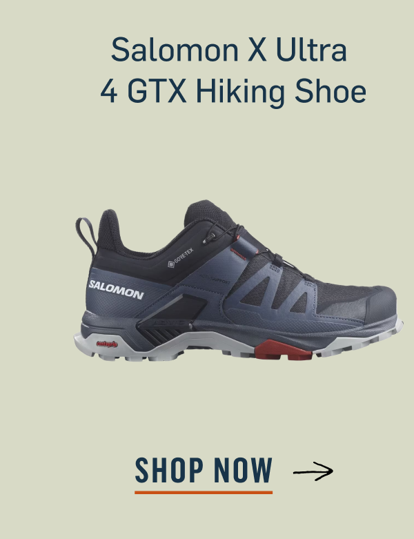 HikingShoe